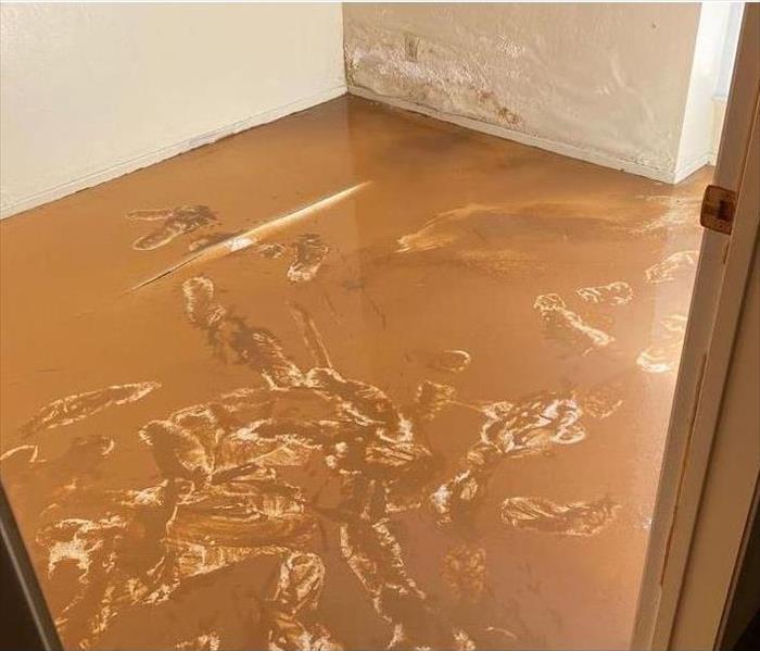 White walls with standing muddy water on floor