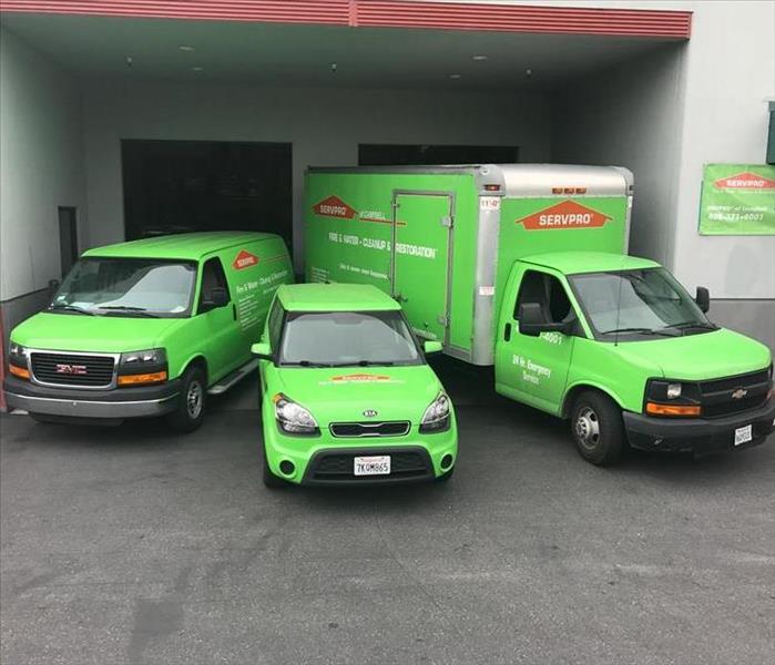 Our fleet vans