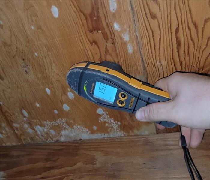 Moisture detection device reading levels around a mold infestation.