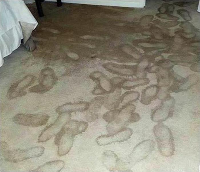 wet carpet, footprints on carpet, 