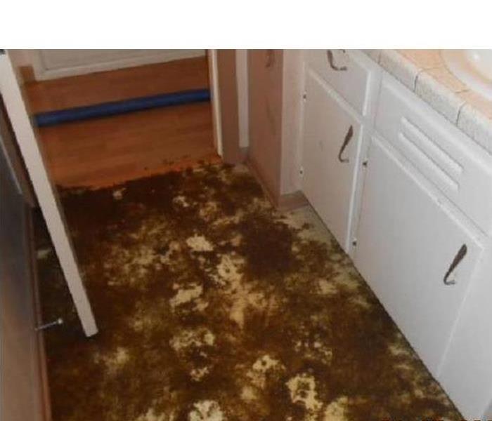 Floor with mud, flood damage in a home